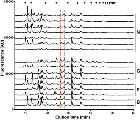 hplc chromatograms|Iba pa.
